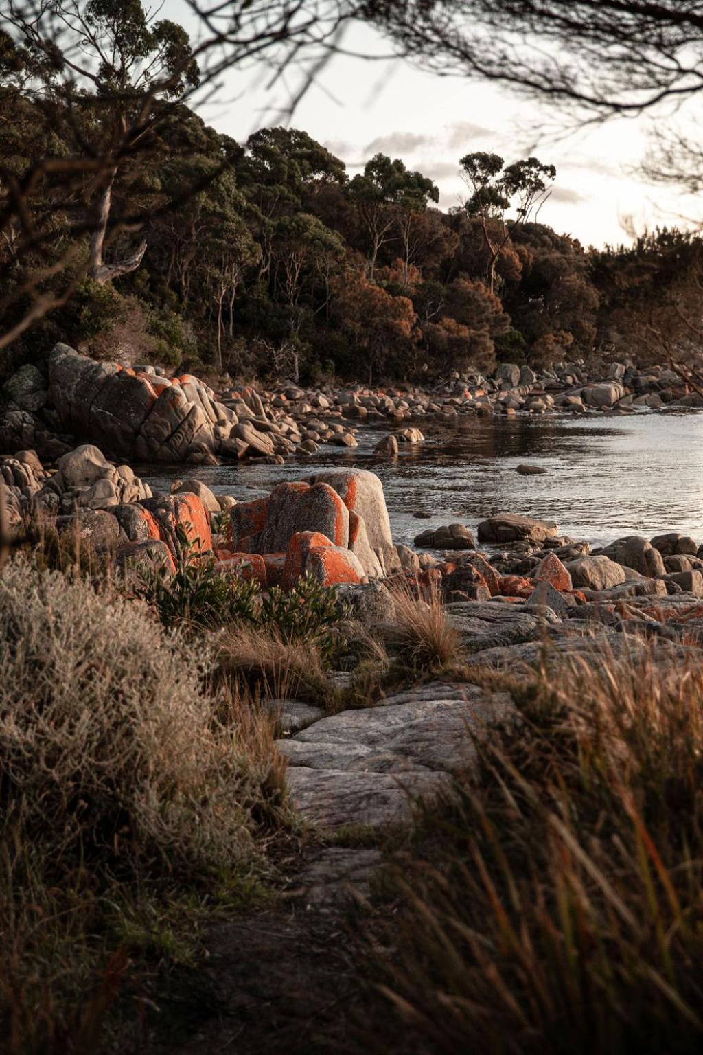 Driftwood Rest Binalong Bay Sleeps 4 Villa Buitenkant foto