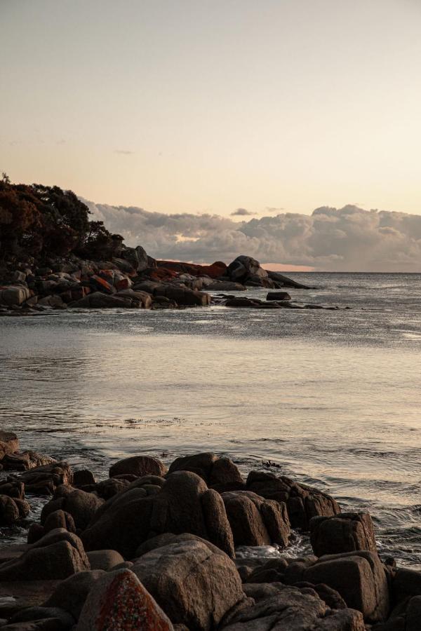 Driftwood Rest Binalong Bay Sleeps 4 Villa Buitenkant foto